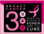 Icon for 3 Day Komen for the Cure Website